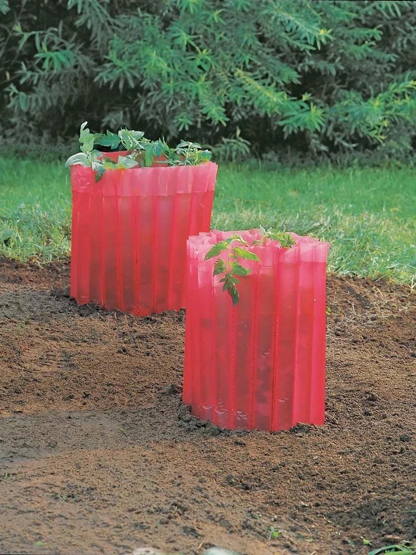 Red Tomato Teepees, Set Of 3 1 Red Tomato Teepees, Set Of 3