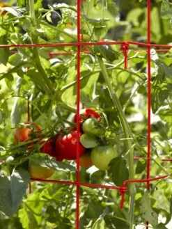 Tomato Cages, Set Of 4 -Garden Care Shop 34182 592 1