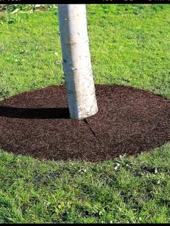 Tree Ring, 36" 5 Tree Ring, 36" -Garden Care Shop 34441 06 tif 1