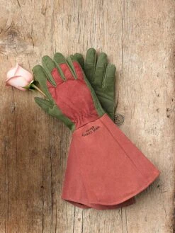 Rose Gloves 4 Rose Gloves -Garden Care Shop 36874 012 tif