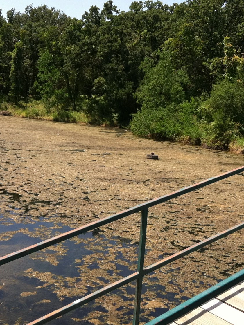 Blast, 125,000 Gallon, 12 Packets 2 Blast, 125,000 Gallon, 12 Packets - Image 2