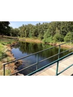 Blast, 125,000 Gallon, 12 Packets 5 Blast, 125,000 Gallon, 12 Packets -Garden Care Shop 37425 002v 1