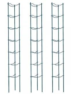 Tomato Ladders, Set Of 3 8 Tomato Ladders, Set Of 3 -Garden Care Shop 38184 002E psd