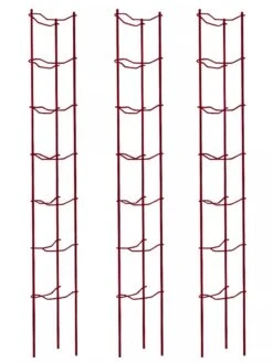 Tomato Ladders, Set Of 3 9 Tomato Ladders, Set Of 3 -Garden Care Shop 38185 002E psd
