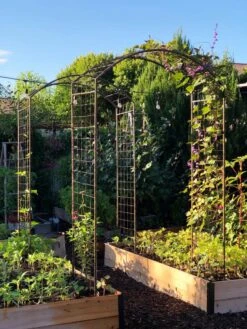 New Arrival -Garden Care Shop 38690 02IN tif 1