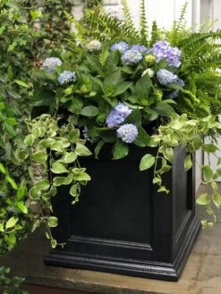 Fairfield Self-Watering Square Planter, 20” X 20” 11 Fairfield Self-Watering Square Planter, 20” X 20” -Garden Care Shop 39 618 205V tif