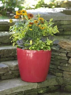Viva Round Self-Watering Rolling Planter, 17.25” Diameter 9 Viva Round Self-Watering Rolling Planter, 17.25” Diameter -Garden Care Shop 39326 046 tif