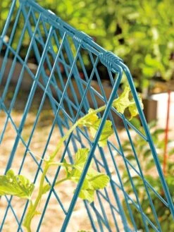 Deluxe Cucumber Trellis -Garden Care Shop 39806 BLUE 100 tif
