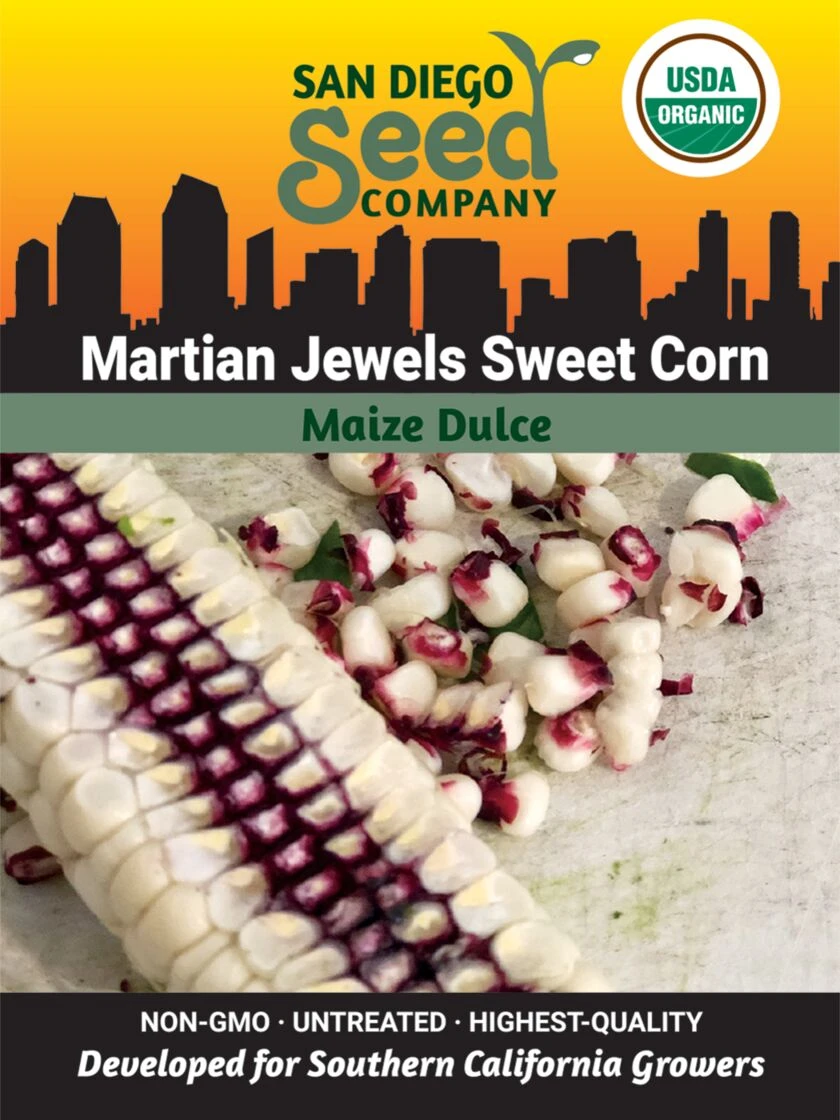 Corn, Martian Jewels Organic Seeds 1 Corn, Martian Jewels Organic Seeds