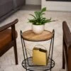 Hairpin Plant Stand With Shelf