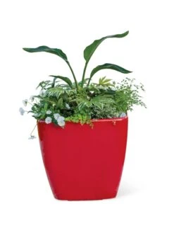 Viva Square Self-Watering Rolling Planter, 20" Diameter, Set Of 2 -Garden Care Shop 3 4 crop 8612930 0037 tif