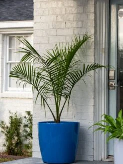 Viva Round Self-Watering Rolling Planter, 20" Diameter, Set Of 2 -Garden Care Shop 3 4 crop 8612933 0024 tif