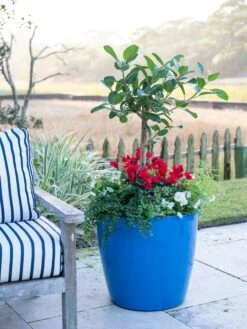 Viva Round Self-Watering Rolling Planter, 20" Diameter, Set Of 2 -Garden Care Shop 3 4 crop 8612933 5312 tif