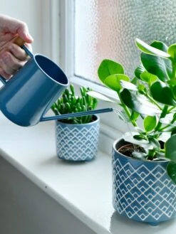 Pinpoint Indoor Watering Can 12 Pinpoint Indoor Watering Can -Garden Care Shop 3 4 crop 8612963 03V tif