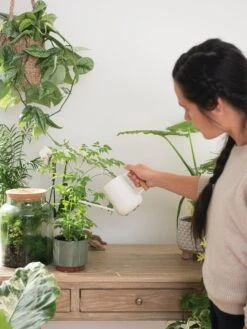 Pinpoint Indoor Watering Can 13 Pinpoint Indoor Watering Can -Garden Care Shop 3 4 crop 8612963 3774