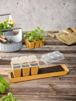 Gardener's Best® Humidity Dome, Set Of 2 6 Gardener's Best® Humidity Dome, Set Of 2 -Garden Care Shop 3 4 crop 8613067 10063