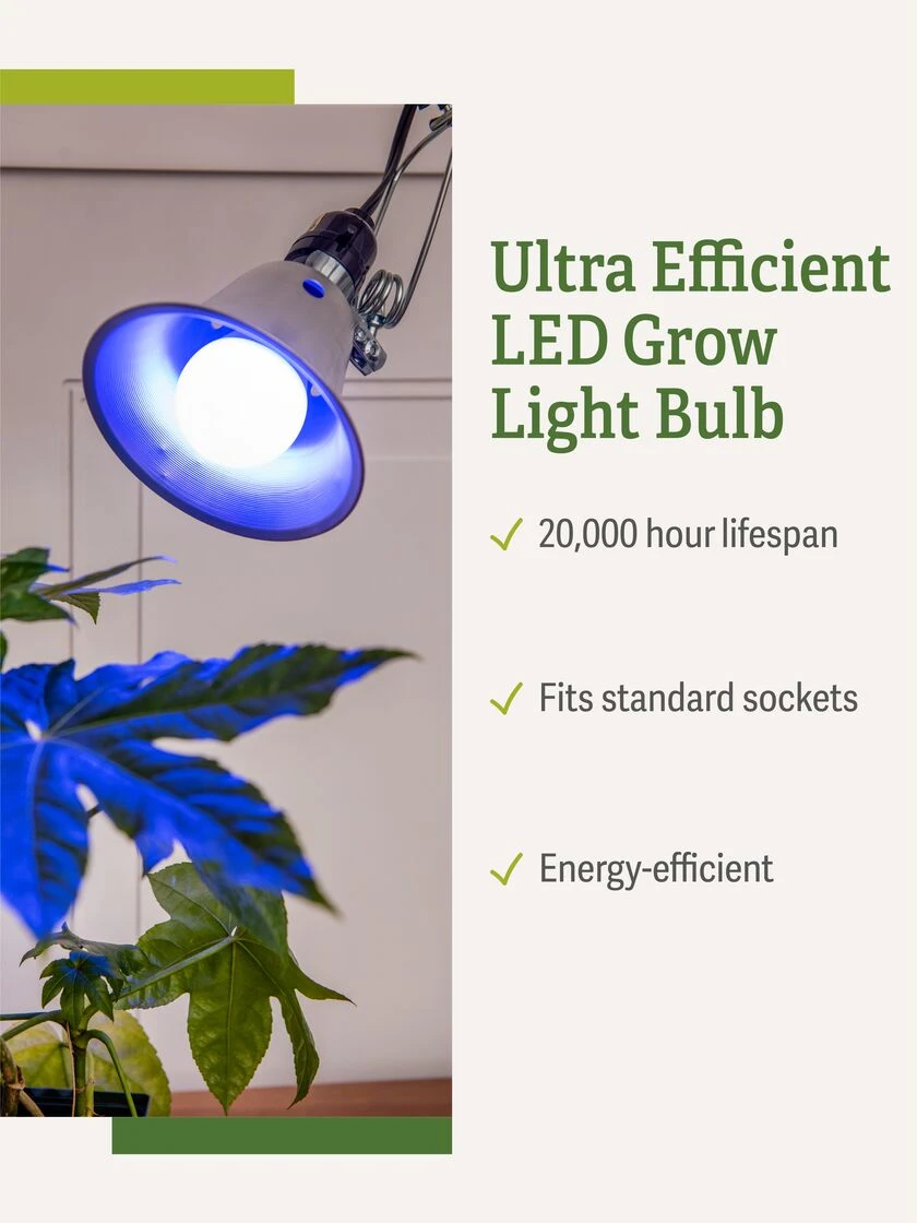 Miracle LED® Grow Light Bulb, Blue 3 Miracle LED® Grow Light Bulb, Blue - Image 3
