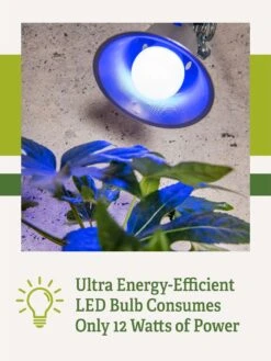 Miracle LED® Grow Light Bulb, Blue 9 Miracle LED® Grow Light Bulb, Blue -Garden Care Shop 3 4 crop Miracle Bulb Blue 2