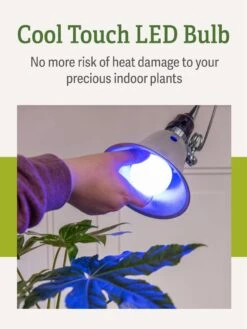 Miracle LED® Grow Light Bulb, Blue 11 Miracle LED® Grow Light Bulb, Blue -Garden Care Shop 3 4 crop Miracle Bulb Blue 4