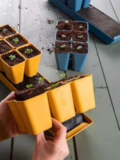 Coco Coir Seed Starting Mix 5 Coco Coir Seed Starting Mix -Garden Care Shop 40 135 6192