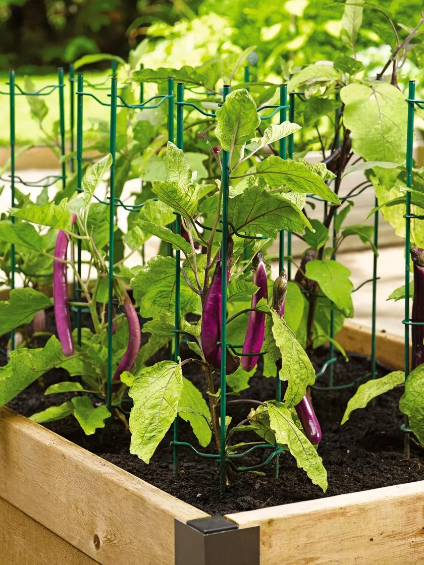 Pepper And Eggplant Stakes, Set Of 3 3 Pepper And Eggplant Stakes, Set Of 3 - Image 3