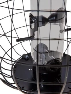 Mixed Seed Globe Cage Feeder 6 Mixed Seed Globe Cage Feeder -Garden Care Shop 8586659 6400