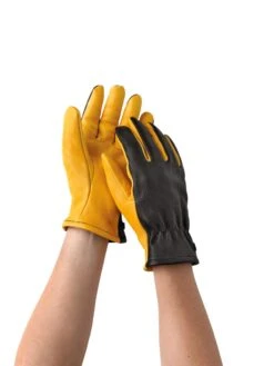 Women's Gold Leaf Dry Touch™ Gloves