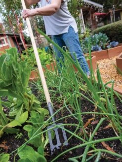 New Arrival -Garden Care Shop 8586973 2385 tif