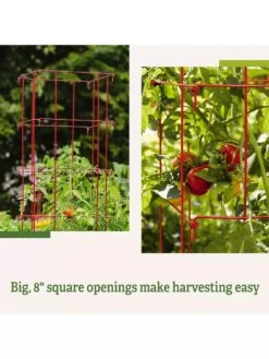 Tomato Cages, Set Of 4 -Garden Care Shop 8587040 2
