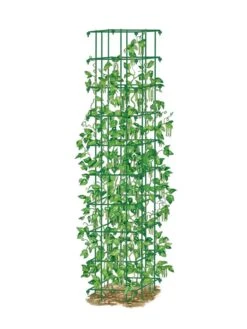 Bean Tower 11 Bean Tower -Garden Care Shop 8587060 0008 GRN tif