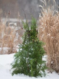 Jardin Pot Trellis -Garden Care Shop 8587120 009 tif