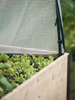 Elevated Planter Box, Frame And 2 Covers Kit, 2' X 8' 8 Elevated Planter Box, Frame And 2 Covers Kit, 2' X 8' -Garden Care Shop 8587631 265 tif 2