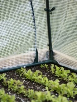Protection Frame & Covers, 2' X 4' -Garden Care Shop 8587631 271 tif 1