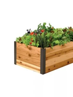 Deep Root Raised Beds, 14" Deep 2' Wide 7 Deep Root Raised Beds, 14" Deep 2' Wide -Garden Care Shop 8587798 001E 1