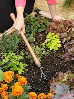 Gardener's Lifetime Raised Bed Cultivator 7 Gardener's Lifetime Raised Bed Cultivator -Garden Care Shop 8587960 0687 tif
