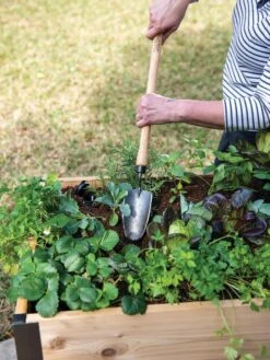 Gardener's Lifetime Raised Bed Trowel -Garden Care Shop 8588014 4084 tif