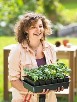 Growease Seed Starter Kit -Garden Care Shop 8589987 0446 tif