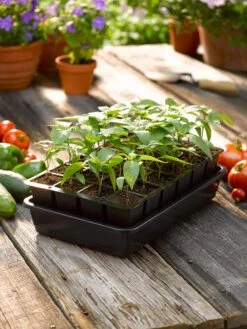 Growease Seed Starter Kit -Garden Care Shop 8589987 1148 tif