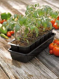 Growease Seed Starter Kit -Garden Care Shop 8589988 1056 tif