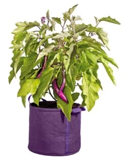 Gardener's Best® Universal Grow Bag 10 Gardener's Best® Universal Grow Bag -Garden Care Shop 8590024PR 214 tif