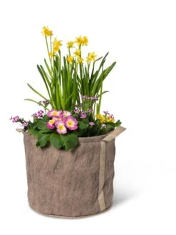 Gardener's Best® Universal Grow Bag 13 Gardener's Best® Universal Grow Bag -Garden Care Shop 8590024 7307 tif