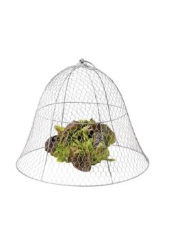 Chicken Wire Cloche -Garden Care Shop 8590210 675 tif