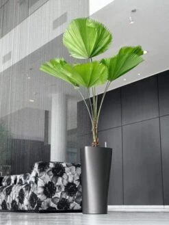 Lechuza® Delta Premium Self-Watering Planters 11 Lechuza® Delta Premium Self-Watering Planters -Garden Care Shop 8590299 02V tif