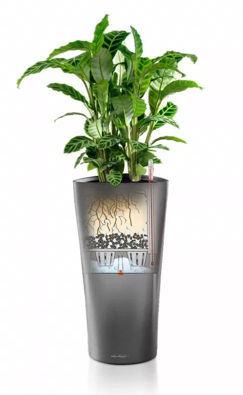 Lechuza® Delta Premium Self-Watering Planters 3 Lechuza® Delta Premium Self-Watering Planters - Image 3