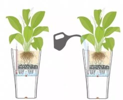 Lechuza® Delta Premium Self-Watering Planters 9 Lechuza® Delta Premium Self-Watering Planters -Garden Care Shop 8590299 07V tif