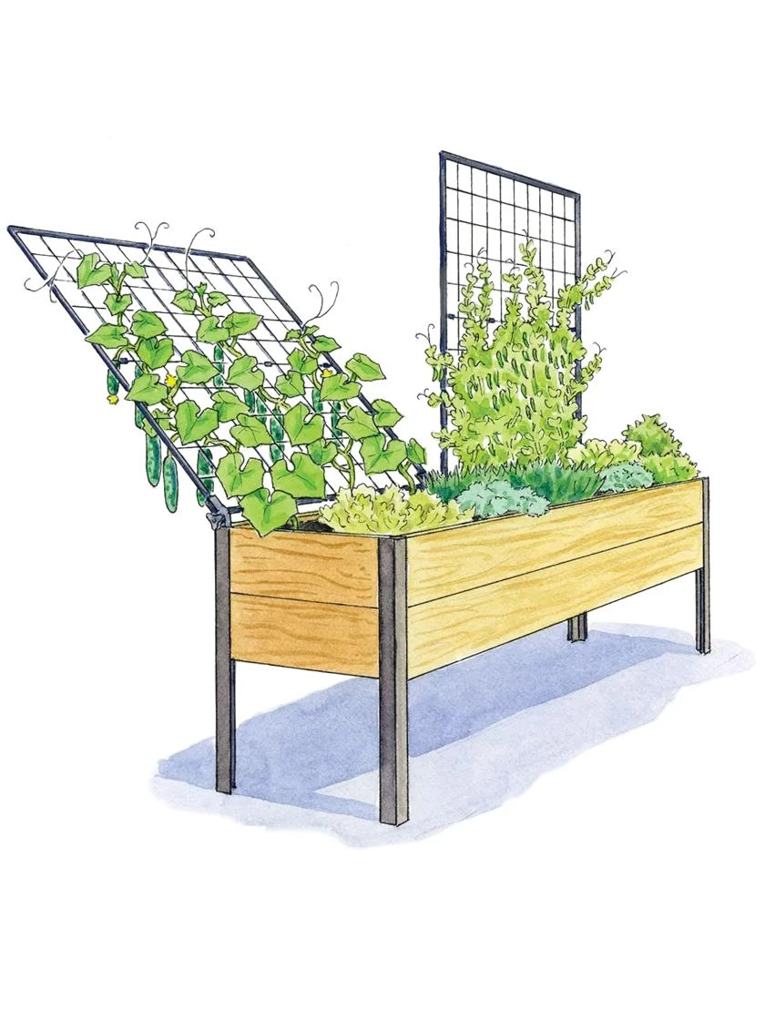 Elevated Planter Box And Space-Maker Pivoting Trellis Set, 2' X 8' 3 Elevated Planter Box And Space-Maker Pivoting Trellis Set, 2' X 8' - Image 3