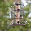 Edwardian Bird Feeder