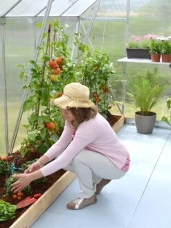 Canopia® By Palram Essence™ Greenhouse, 8' X 12' -Garden Care Shop 8591356 04V tif