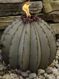 Desert Steel Golden Barrel Cactus Torches 7 Desert Steel Golden Barrel Cactus Torches -Garden Care Shop 8591454 01V tif