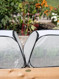 Row Shelter Accelerator -Garden Care Shop 8591990 2199 tif